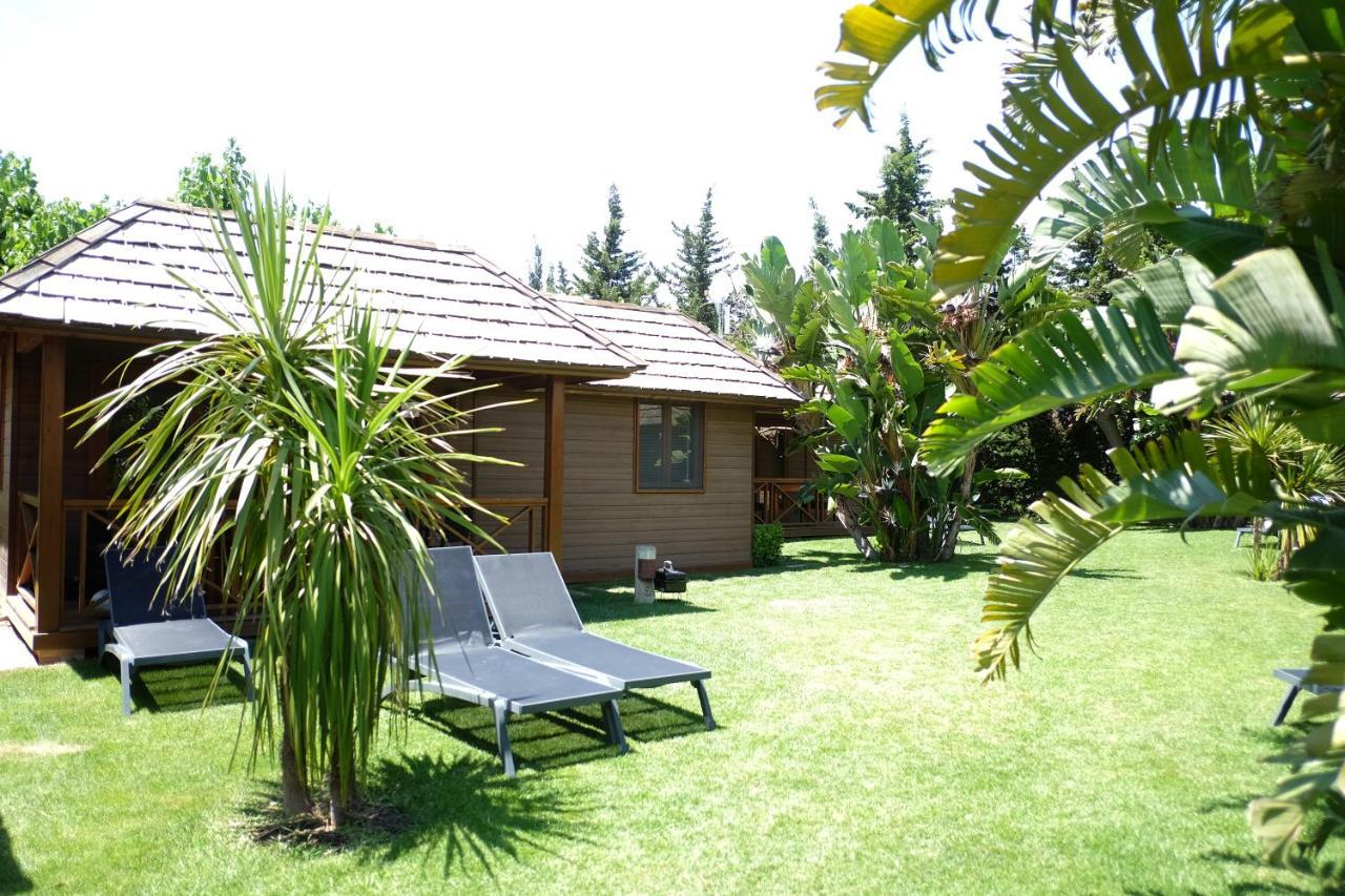 Playa Montroig Camping Resort Zewnętrze zdjęcie